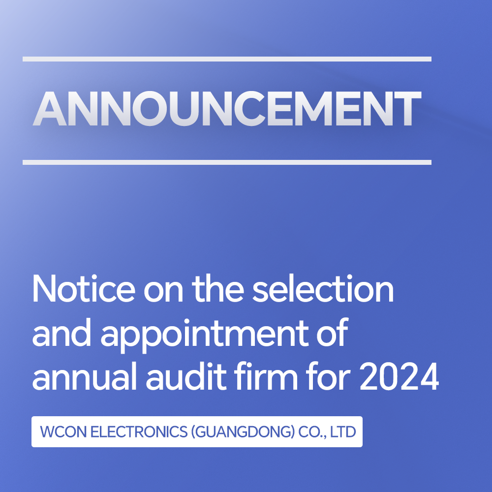 關于遴選及聘任2024年度審計師事務所的通知